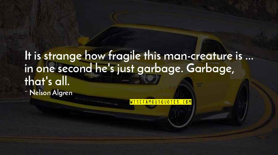 Bu Ali Sina Quotes By Nelson Algren: It is strange how fragile this man-creature is