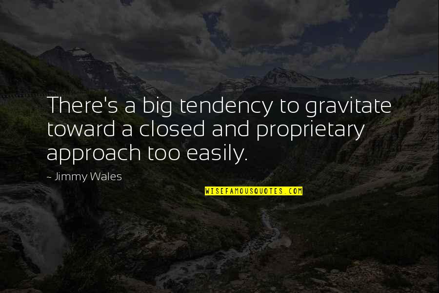 Bubba Skinner Quotes By Jimmy Wales: There's a big tendency to gravitate toward a