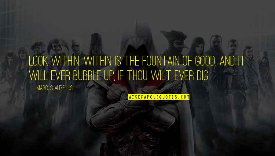 Bubble Quotes By Marcus Aurelius: Look within. Within is the fountain of good,