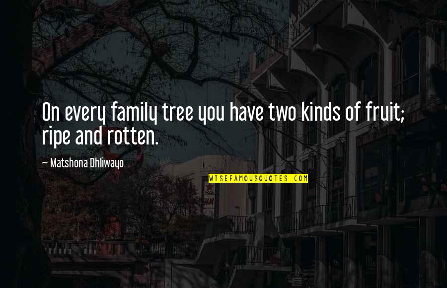 Bubbled Quotes By Matshona Dhliwayo: On every family tree you have two kinds