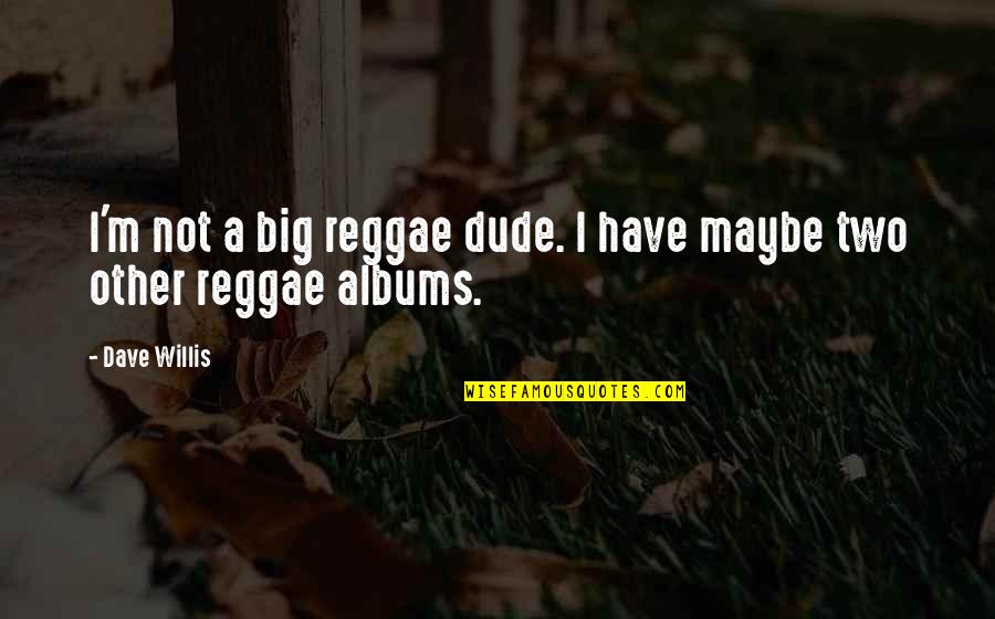 Bubblehead Navy Quotes By Dave Willis: I'm not a big reggae dude. I have