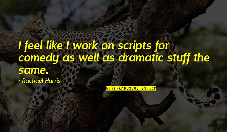 Bubbles And Life Quotes By Rachael Harris: I feel like I work on scripts for