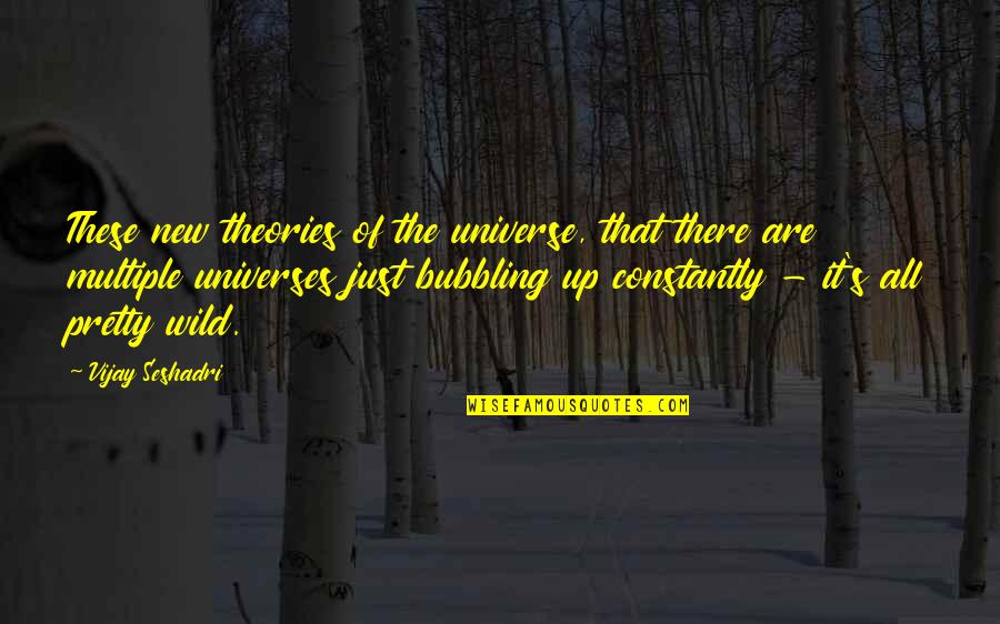 Bubbling Quotes By Vijay Seshadri: These new theories of the universe, that there