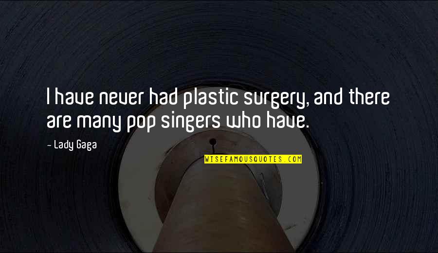 Bubier Meats Quotes By Lady Gaga: I have never had plastic surgery, and there