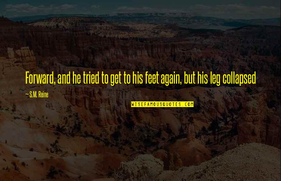Buboes Pronunciation Quotes By S.M. Reine: Forward, and he tried to get to his