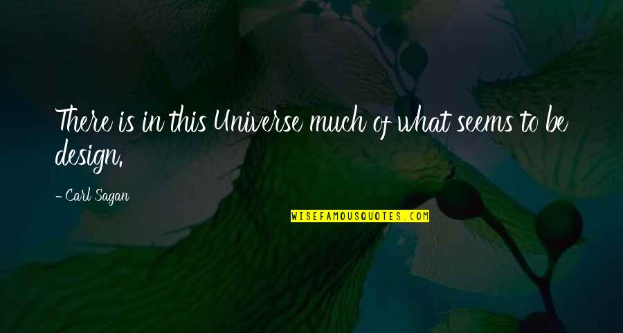 Bubuoin Quotes By Carl Sagan: There is in this Universe much of what