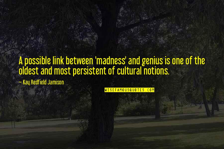 Buchenholz Quotes By Kay Redfield Jamison: A possible link between 'madness' and genius is