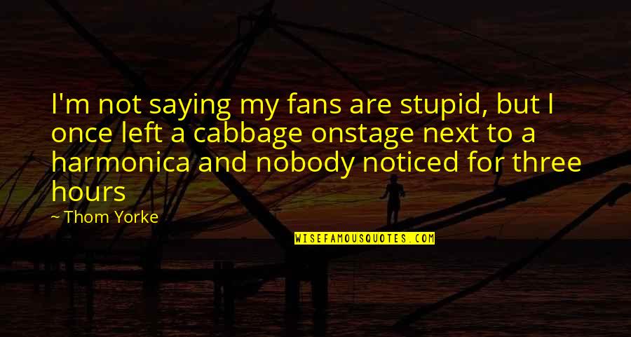 Buches In English Quotes By Thom Yorke: I'm not saying my fans are stupid, but Buches In English Quotes By Thom Yorke: I'm not saying my fans are stupid, but