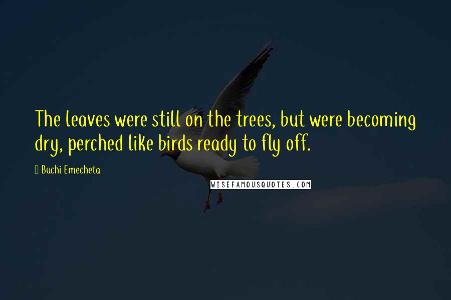 Buchi Emecheta quotes: The leaves were still on the trees, but were becoming dry, perched like birds ready to fly off.