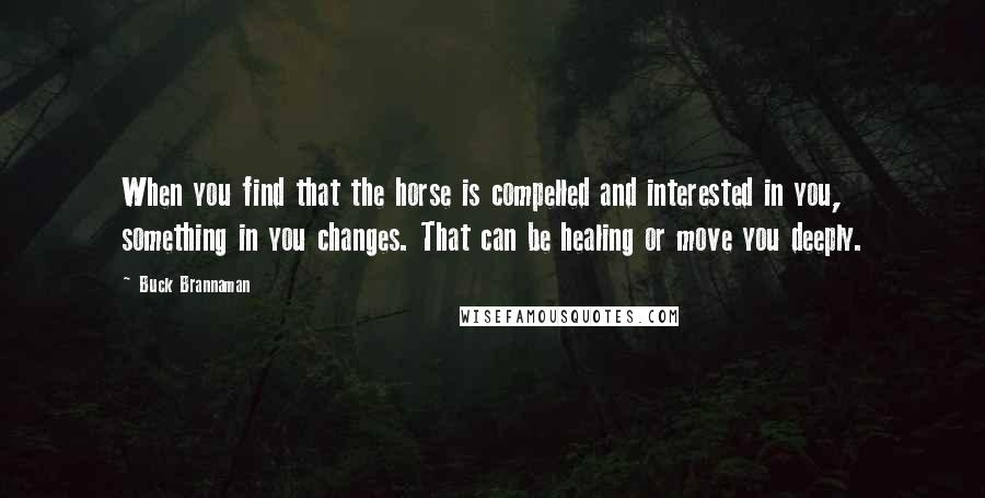 Buck Brannaman quotes: When you find that the horse is compelled and interested in you, something in you changes. That can be healing or move you deeply.