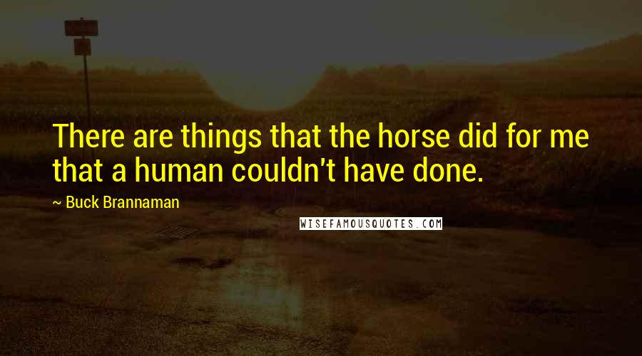 Buck Brannaman quotes: There are things that the horse did for me that a human couldn't have done.