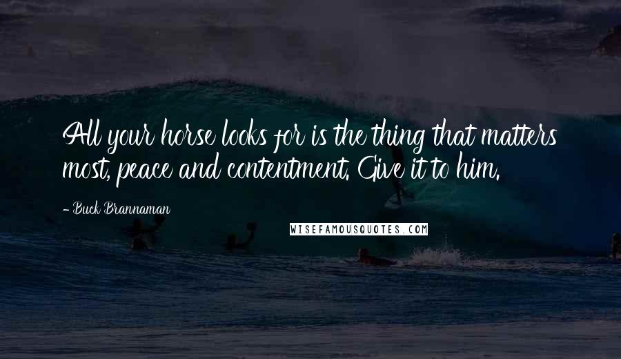 Buck Brannaman quotes: All your horse looks for is the thing that matters most, peace and contentment. Give it to him.