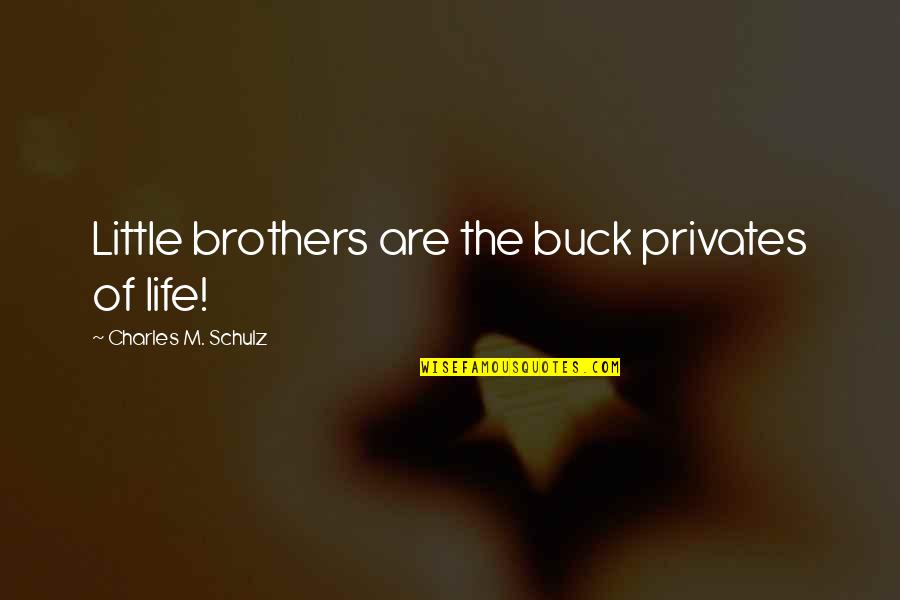 Buck Privates Quotes By Charles M. Schulz: Little brothers are the buck privates of life! Buck Privates Quotes By Charles M. Schulz: Little brothers are the buck privates of life!