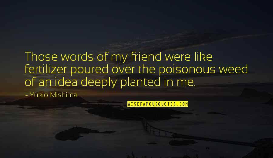 Buckenberger Christ Quotes By Yukio Mishima: Those words of my friend were like fertilizer