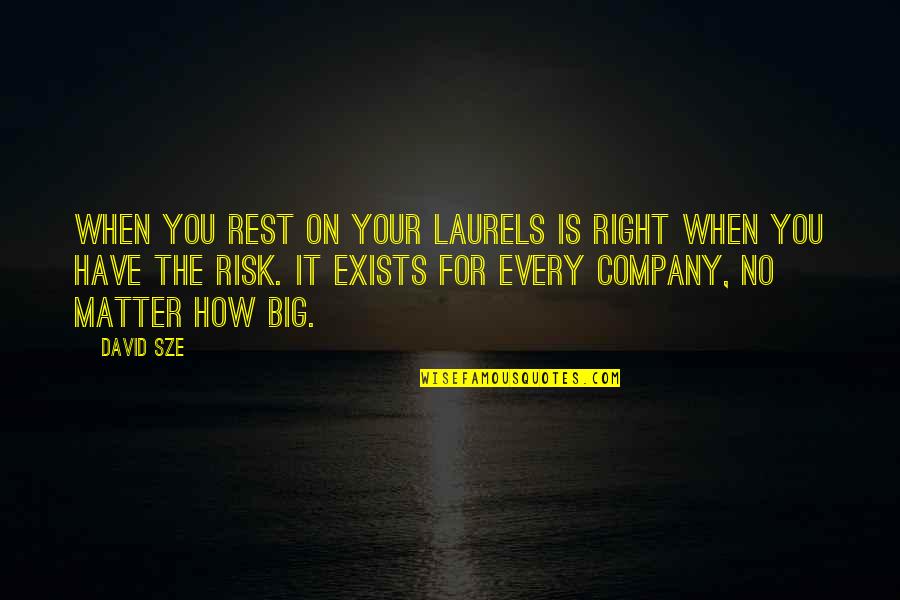 Bucketload Quotes By David Sze: When you rest on your laurels is right