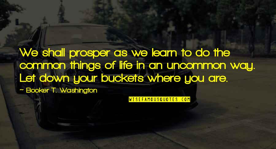 Buckets Quotes By Booker T. Washington: We shall prosper as we learn to do