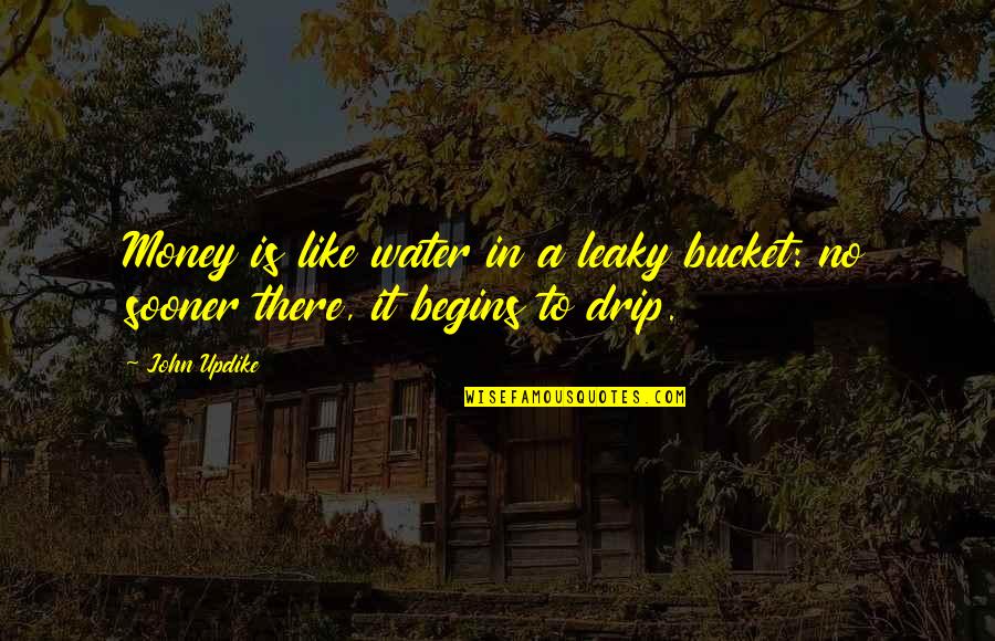 Buckets Quotes By John Updike: Money is like water in a leaky bucket: