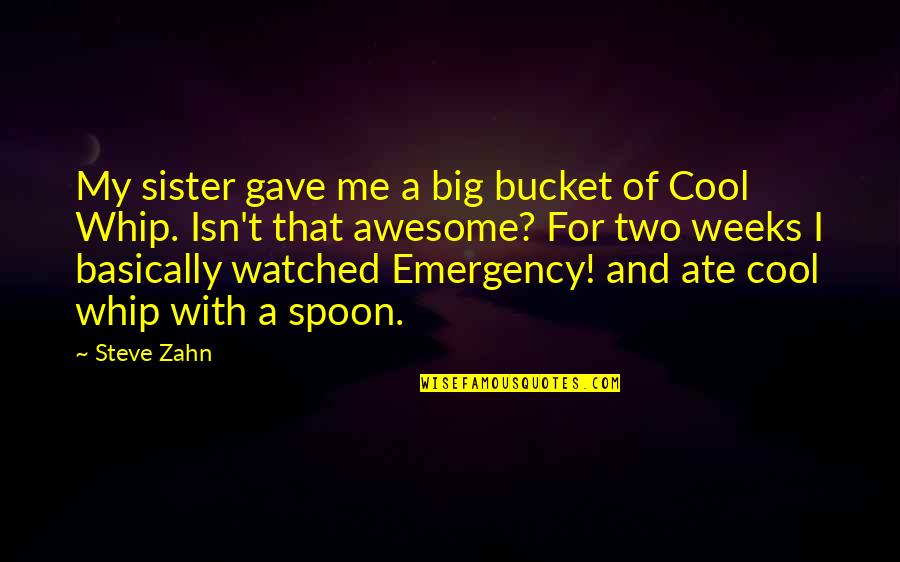 Buckets Quotes By Steve Zahn: My sister gave me a big bucket of