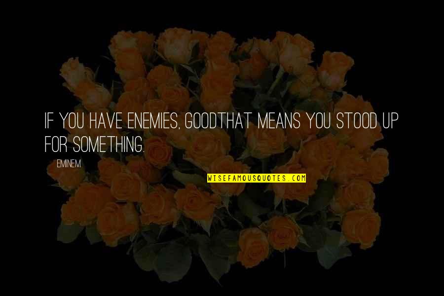 Buckleys Sligo Quotes By Eminem: If you have enemies, goodthat means you stood