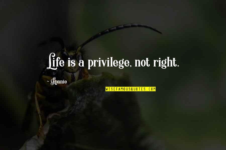 Bucklige Welt Quotes By Ronnie: Life is a privilege, not right. Bucklige Welt Quotes By Ronnie: Life is a privilege, not right.