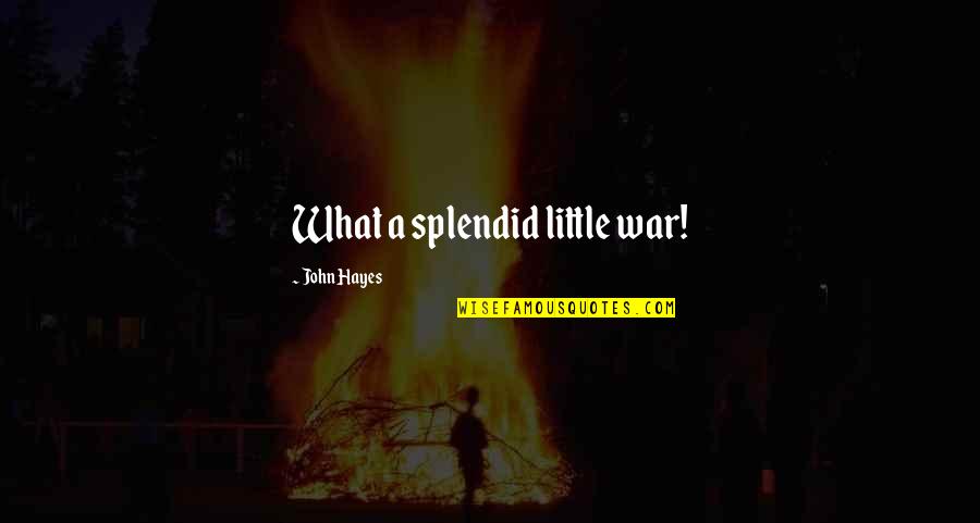 Buckrum Quotes By John Hayes: What a splendid little war! Buckrum Quotes By John Hayes: What a splendid little war!