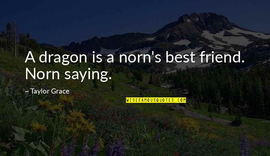 Bucks Giannis Quote Quotes By Taylor Grace: A dragon is a norn's best friend. Norn
