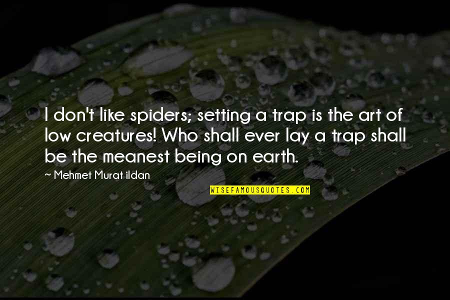 Buckwalter Place Quotes By Mehmet Murat Ildan: I don't like spiders; setting a trap is