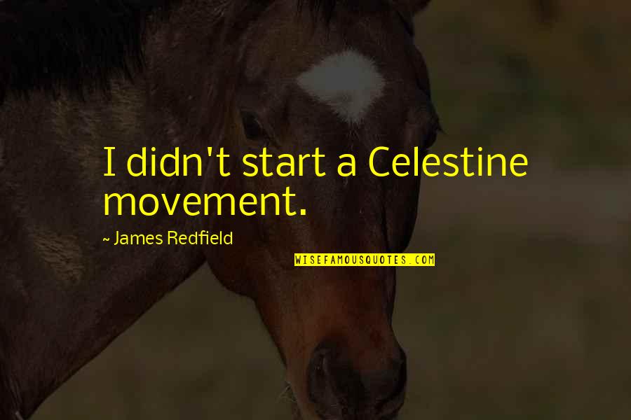 Buckworth Herb Quotes By James Redfield: I didn't start a Celestine movement.