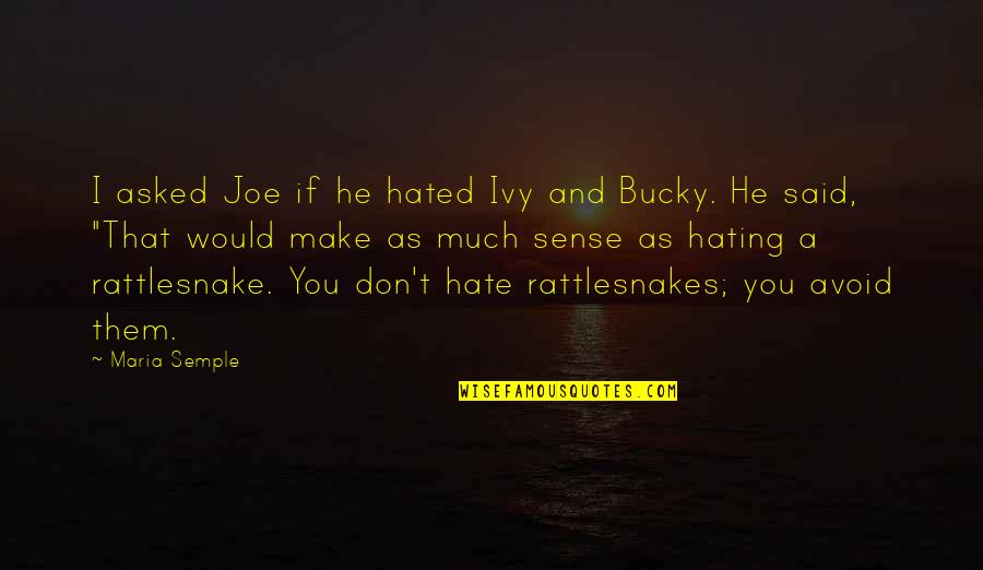 Bucky O'hare Quotes By Maria Semple: I asked Joe if he hated Ivy and