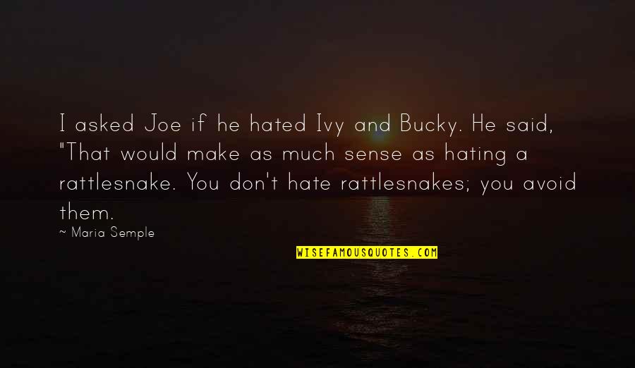 Bucky Quotes By Maria Semple: I asked Joe if he hated Ivy and