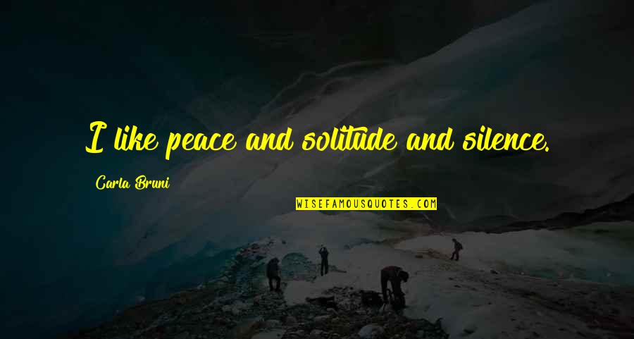 Bucsi Bernadett Quotes By Carla Bruni: I like peace and solitude and silence. Bucsi Bernadett Quotes By Carla Bruni: I like peace and solitude and silence.