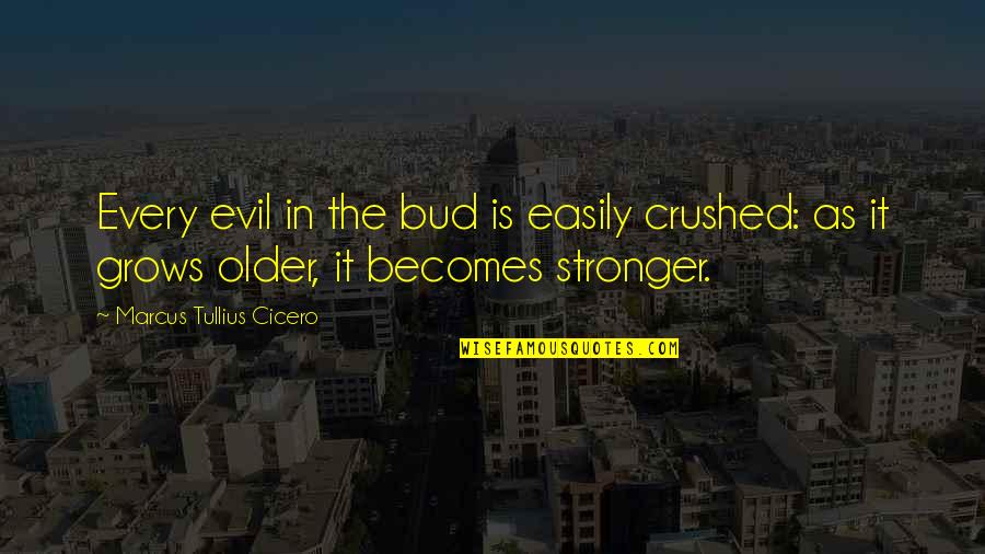 Bud Quotes By Marcus Tullius Cicero: Every evil in the bud is easily crushed: