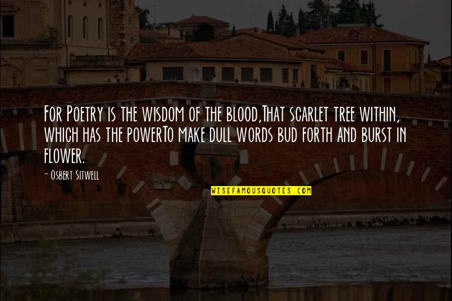 Bud Quotes By Osbert Sitwell: For Poetry is the wisdom of the blood,That