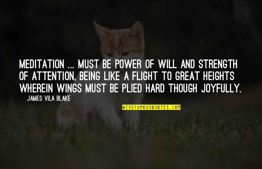 Budapesten Quotes By James Vila Blake: Meditation ... must be power of will and