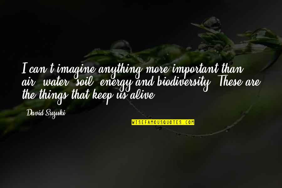 Budden Love Quotes By David Suzuki: I can't imagine anything more important than air,