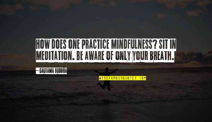 Buddha Breath Quotes By Gautama Buddha: How does one practice mindfulness? Sit in meditation.