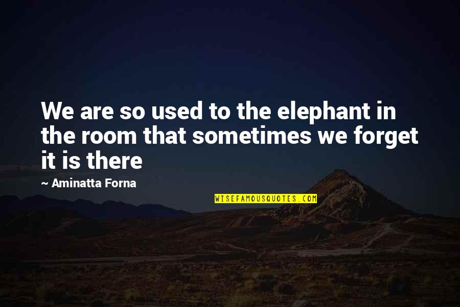 Buddha Clinging Quotes By Aminatta Forna: We are so used to the elephant in