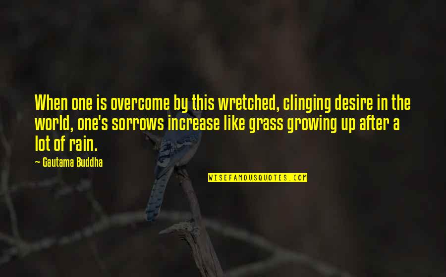 Buddha Clinging Quotes By Gautama Buddha: When one is overcome by this wretched, clinging