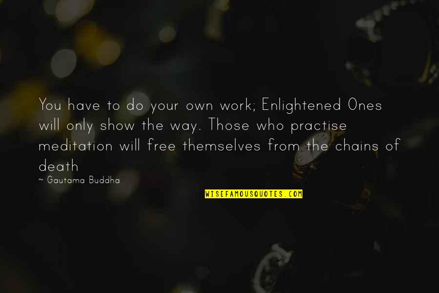 Buddha Enlightened Quotes By Gautama Buddha: You have to do your own work; Enlightened