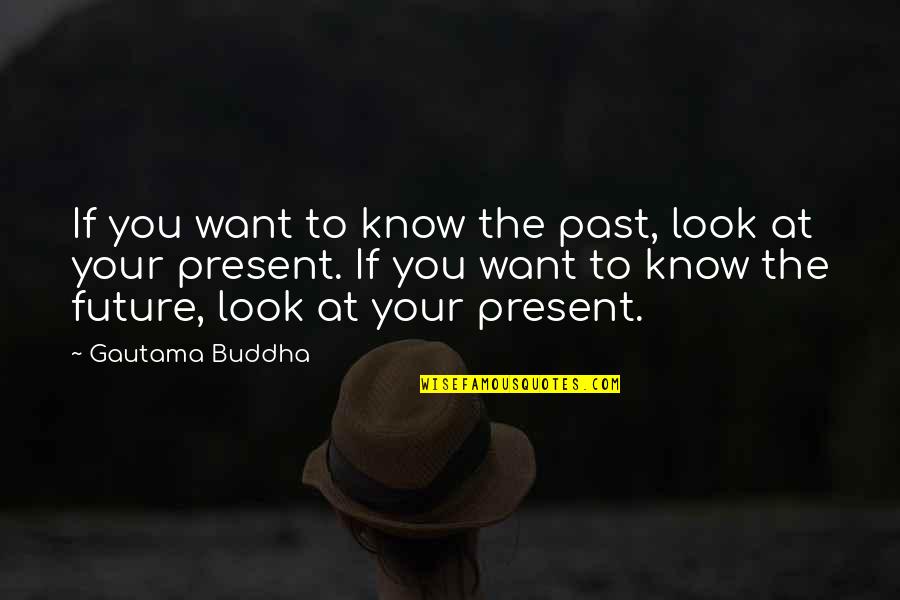 Buddha Future Quotes By Gautama Buddha: If you want to know the past, look