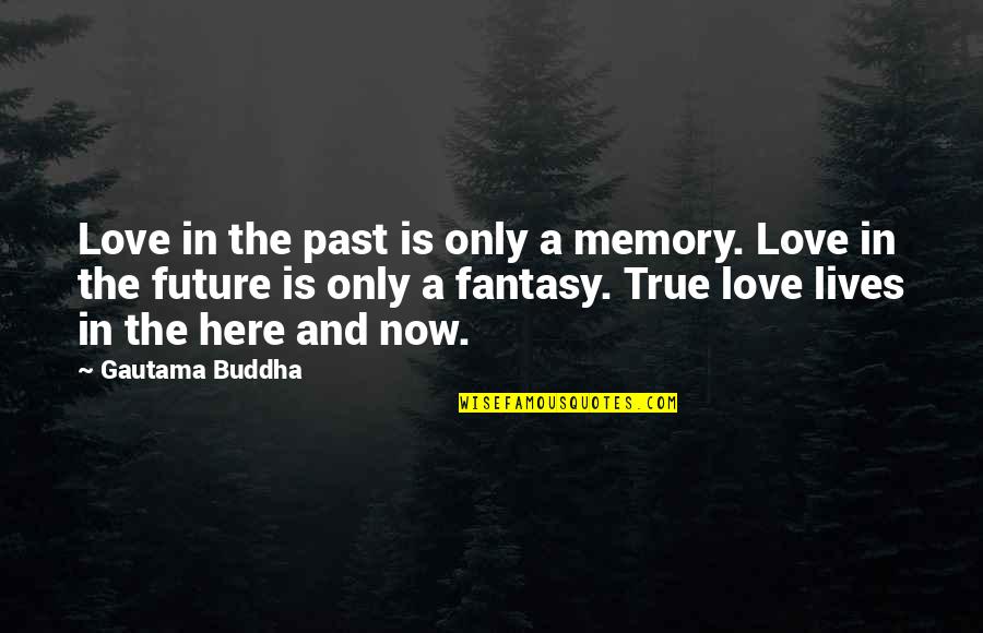 Buddha Future Quotes By Gautama Buddha: Love in the past is only a memory.