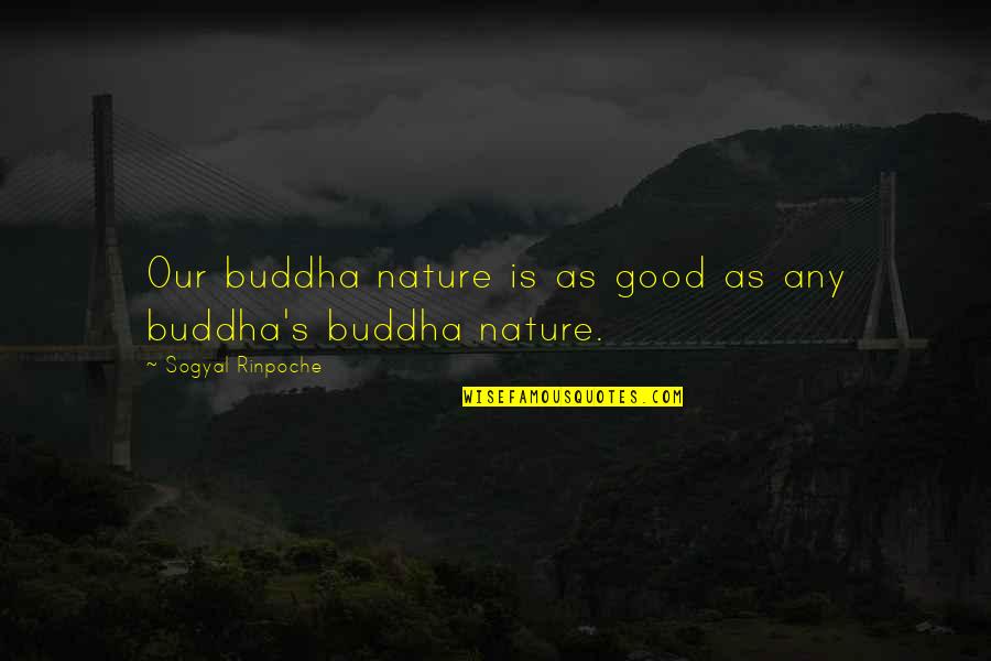 Buddha Good Quotes By Sogyal Rinpoche: Our buddha nature is as good as any Buddha Good Quotes By Sogyal Rinpoche: Our buddha nature is as good as any