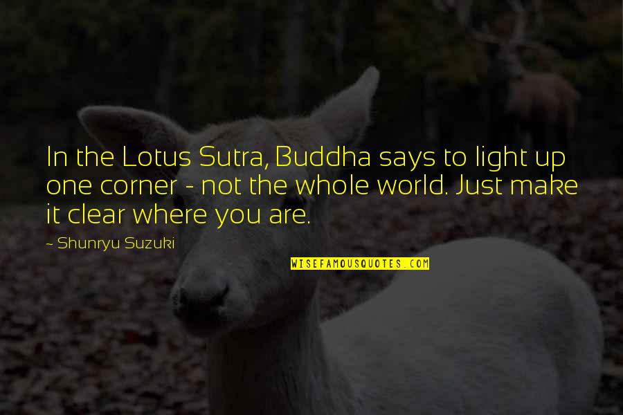 Buddha Lotus Sutra Quotes By Shunryu Suzuki: In the Lotus Sutra, Buddha says to light