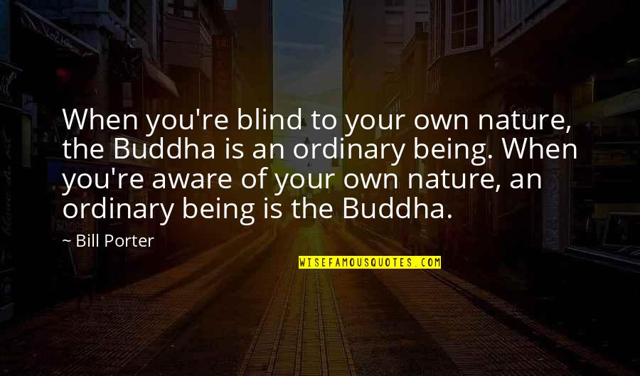 Buddha Nature Quotes By Bill Porter: When you're blind to your own nature, the