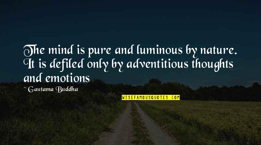 Buddha Nature Quotes By Gautama Buddha: The mind is pure and luminous by nature.