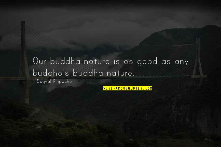 Buddha Nature Quotes By Sogyal Rinpoche: Our buddha nature is as good as any