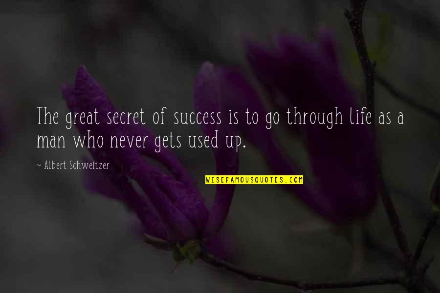 Buddha Nice Quotes By Albert Schweitzer: The great secret of success is to go