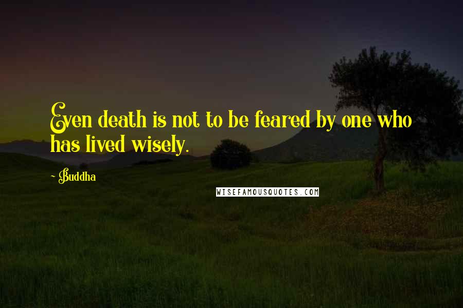 Buddha quotes: Even death is not to be feared by one who has lived wisely.