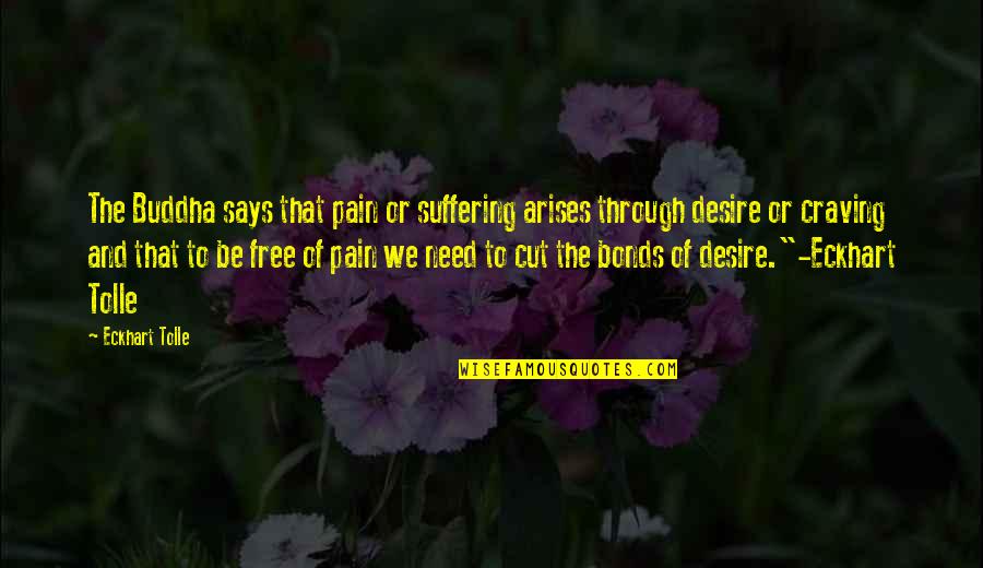 Buddha Says Quotes By Eckhart Tolle: The Buddha says that pain or suffering arises