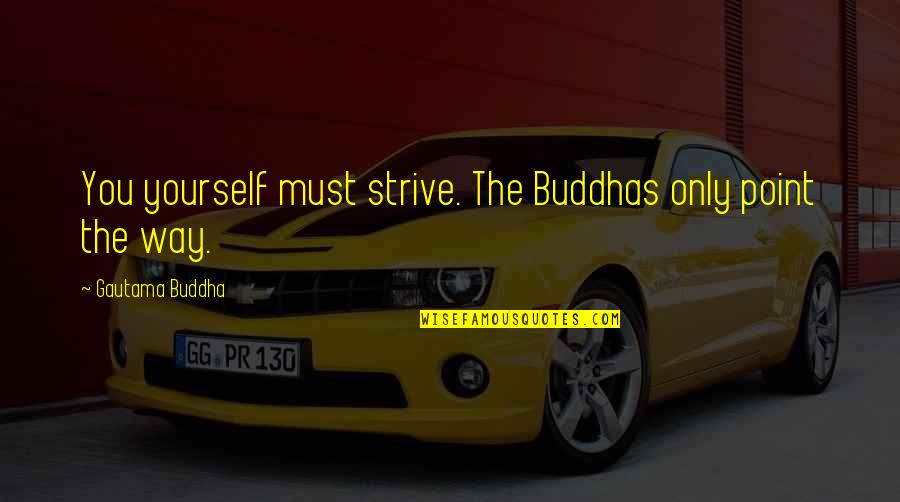 Buddha Strive Quotes By Gautama Buddha: You yourself must strive. The Buddhas only point